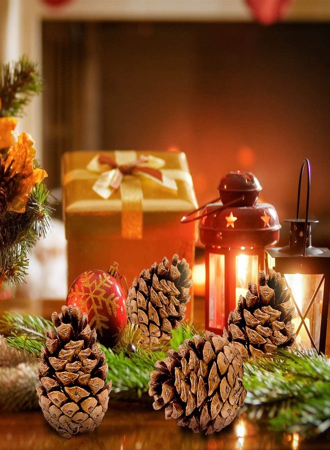ZYP 24PCS Christmas Natural Pine Cones,Rustic Pinecones with String for Crafts & Decorating Winter Xmax Holidays Vase and Table Bowl Fillers(Dia. 1.57-1.96 Inches) - Image 4